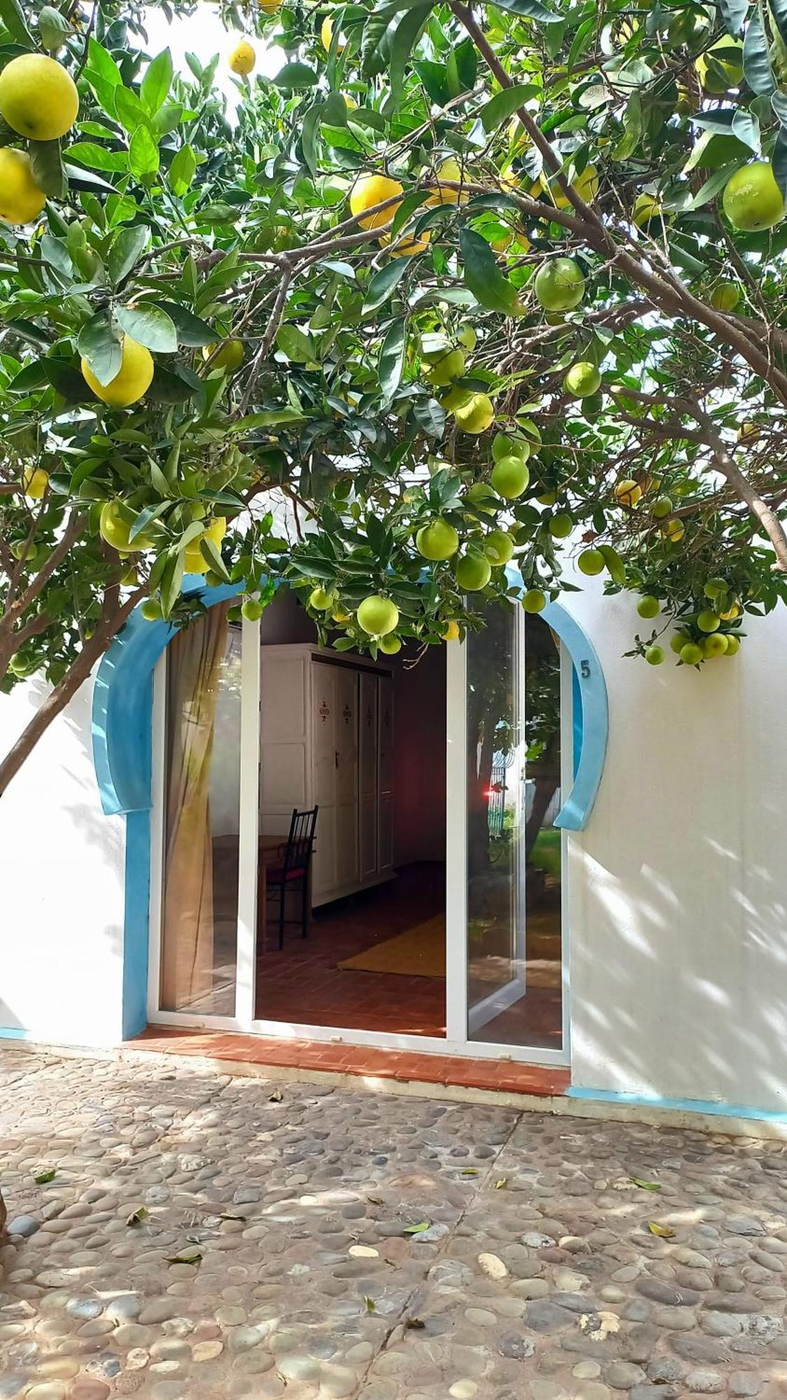 Rayani Maison D'Hotes Chozas Exterior photo